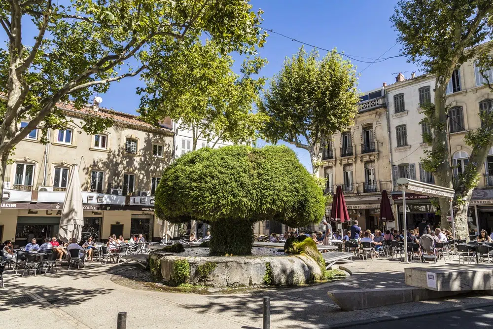 Quartiers à éviter à Salon-de-Provence : Le guide honnête salon de provence